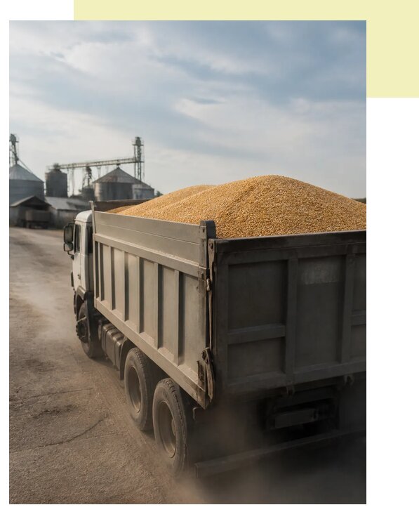 Перевозка сельхозпродукции навалом в Новоалтайск по цене от 3067 р. | Агросервис-Нвл